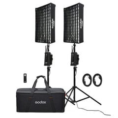 Godox Flexible LED Light FL100 Two-light KIT Комплект студийного освещения цена и информация | Осветительное оборудование для фотосъемок | pigu.lt