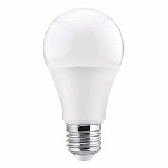 Светодиодная лампочка TM Electron E27 (5000 K) цена и информация | Электрические лампы | pigu.lt