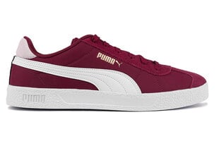 Laisvalaikio batai vyrams Puma 384822 07, raudoni цена и информация | Кроссовки мужские | pigu.lt