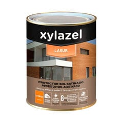 Протектор поверхности Xylazel 5396903 Устойчивы к ультрафиолетовому излучению Бесцветный сатин 375 ml цена и информация | Механические инструменты | pigu.lt