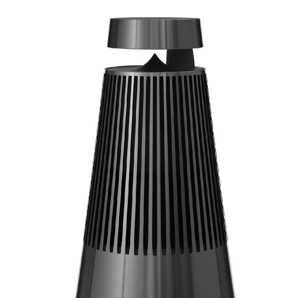 Bang & Olufsen Beosound 2 3rd Gen Black Anthracite 1309105 цена и информация | Garso kolonėlės | pigu.lt