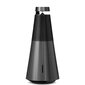 Bang & Olufsen Beosound 2 3rd Gen Black Anthracite 1309105 kaina ir informacija | Garso kolonėlės | pigu.lt