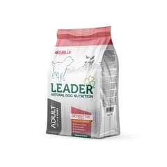 Leader Sensitive Medium vidutinių veislių šunims su lašiša, 2kg цена и информация | Сухой корм для собак | pigu.lt