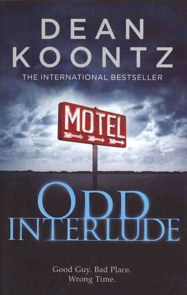 Odd Interlude цена и информация | Fantastinės, mistinės knygos | pigu.lt