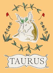 Taurus S0400845 цена и информация | Самоучители | pigu.lt