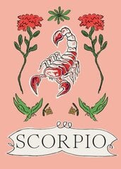 Scorpio цена и информация | Самоучители | pigu.lt