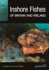 Inshore Fishes of Britain and Ireland kaina ir informacija | Ekonomikos knygos | pigu.lt