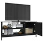 vidaXL Televizoriaus spintelė, juoda, 100x40x45cm, apdirbta mediena kaina ir informacija | TV staliukai | pigu.lt