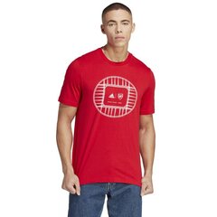 Adidas marškinėliai vyrams Arsenal London GR Tee M HT4458, raudoni цена и информация | Футболка мужская | pigu.lt