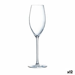 Luminarc šampano taurių rinkinys, 12 vnt. kaina ir informacija | Taurės, puodeliai, ąsočiai | pigu.lt