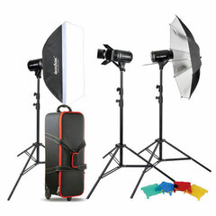 Apšvietimo lempa Godox Studio Kit E250-D kaina ir informacija | Fotografijos apšvietimo įranga | pigu.lt