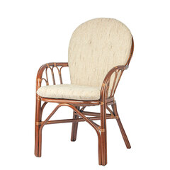 Kėdė RattaNeo Coral k143, ruda kaina ir informacija | Virtuvės ir valgomojo kėdės | pigu.lt