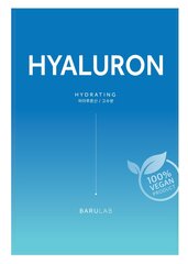 Veido lakštinė kaukė su hialurono rūgštimi Barulab The Clean Vegan Mask Hyaluron, 23g kaina ir informacija | Veido kaukės, paakių kaukės | pigu.lt