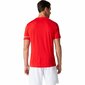 Marškinėliai vyrams Asics, raudoni kaina ir informacija | Vyriški marškinėliai | pigu.lt