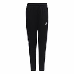 SWEATPANTS ADIDAS CORE YB E 3S PT DV1794 цена и информация | Спортивные штаны для мальчиков | pigu.lt