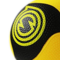 Kamuoliukai Spikeball Pro, 2vnt. цена и информация | Игры на открытом воздухе | pigu.lt