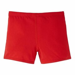 Плавки мужские Nike Boxer Swim  Красный цена и информация | Плавки, плавательные шорты | pigu.lt