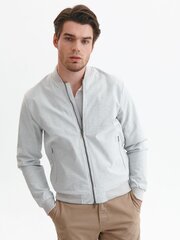 Мужская куртка Top Secret SKU1323GBS3, серая цена и информация | Мужские куртки | pigu.lt