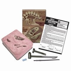 Archeologijos Kasinėjimų rinkinys 4M Pteranodonas kaina ir informacija | Lavinamieji žaislai | pigu.lt
