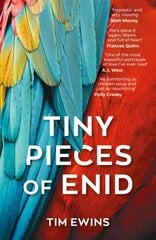 Tiny Pieces of Enid kaina ir informacija | Fantastinės, mistinės knygos | pigu.lt