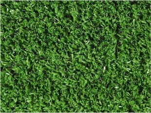 Faura dirbtinės žolės kilimas, 200x500 cm цена и информация | Искусственные цветы | pigu.lt