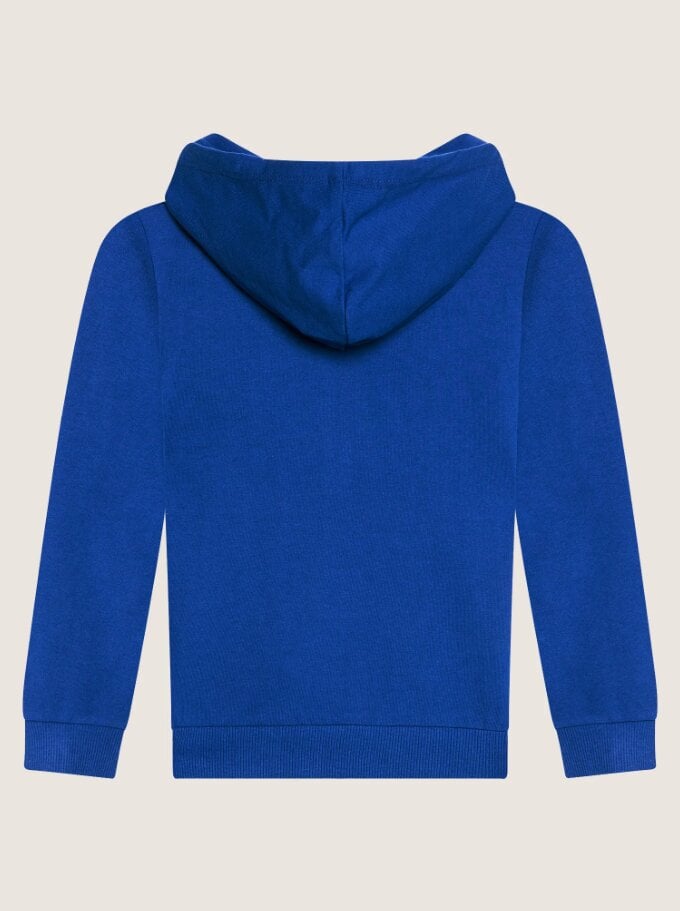 Name It džemperis berniukams Nkmnesweat Card W Hood Unb Noos, mėlynas kaina ir informacija | Megztiniai, bluzonai, švarkai berniukams | pigu.lt
