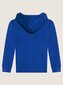 Name It džemperis berniukams Nkmnesweat Card W Hood Unb Noos, mėlynas kaina ir informacija | Megztiniai, bluzonai, švarkai berniukams | pigu.lt