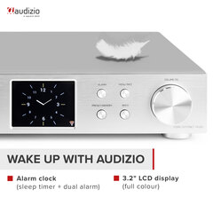 Интернет-радиоприемник Audizio Adria с DAB+/FM серебристый цена и информация | Радиоприемники и будильники | pigu.lt