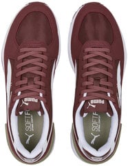 Sportiniai batai vyrams Puma Graviton Wood Bordeaux 380738 29 380738, raudoni kaina ir informacija | Kedai vyrams | pigu.lt