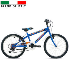Vaikiškas dviratis Esperia 20", mėlynas kaina ir informacija | Dviračiai | pigu.lt