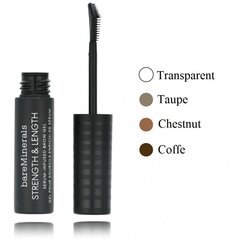 Тонизирующий гель для бровей с сывороткой bareMinerals Strength & Long Serum Infused Brow Gel, Honey, 5 мл цена и информация | Карандаши, краска для бровей | pigu.lt