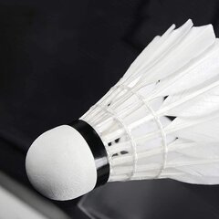 Badmintono skrajukai Springos, 6 vnt kaina ir informacija | Badmintonas | pigu.lt