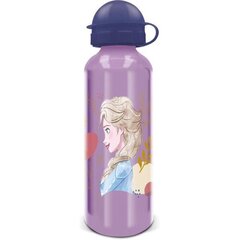 Gertuvė Stor Frozen Trust The Journey, 530 ml цена и информация | Фляги для воды | pigu.lt