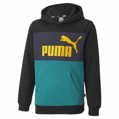 Толстовка с капюшоном детская Puma Essentials+ Colourblock Youth Чёрный цена и информация | Свитеры, жилетки, пиджаки для мальчиков | pigu.lt