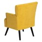 Fotelis 63x50x83cm, geltonas kaina ir informacija | Svetainės foteliai | pigu.lt