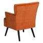 Fotelis 63x50x83cm, oranžinis kaina ir informacija | Svetainės foteliai | pigu.lt