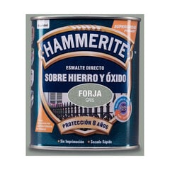 Antioxidant Enamel Hammerite 5093227 Серый 750 ml матовый цена и информация | Краска | pigu.lt