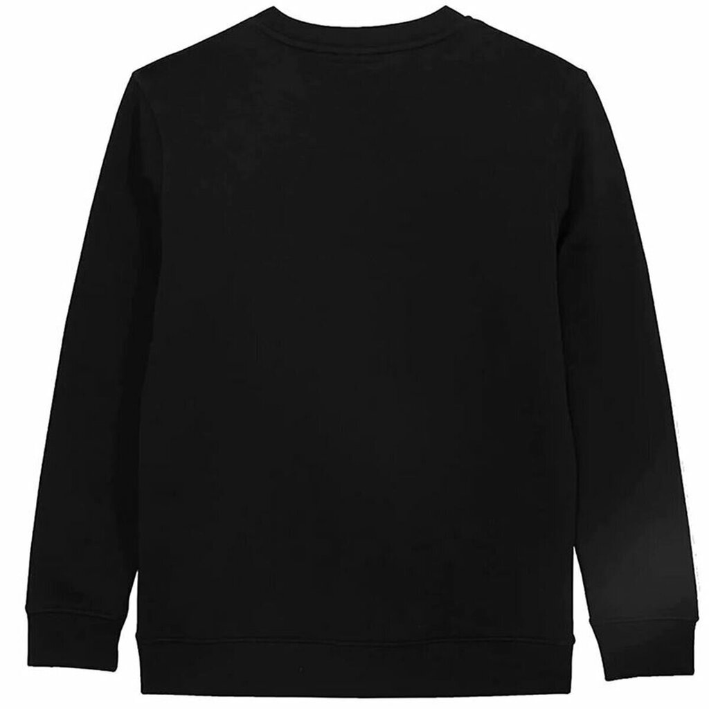 Džemperis vyrams Vans, juodas цена и информация | Džemperiai vyrams | pigu.lt