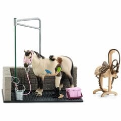 Figūrėlių rinkinys Schleich Arklių plovykla kaina ir informacija | Žaislai mergaitėms | pigu.lt