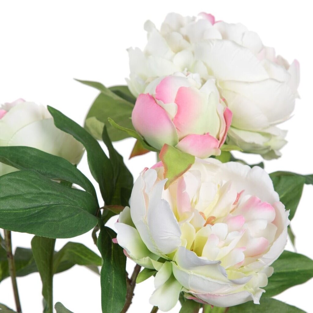 Dekoratyvinis augalas Bijūnas kaina ir informacija | Dirbtinės gėlės | pigu.lt