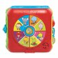 Interaktyvus žaislas Vtech Baby Super Cube of the Discoveries kaina ir informacija | Lavinamieji žaislai | pigu.lt