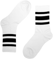Носки Alina Everyday BL21019-2, белые, 5 пар цена и информация | Мужские носки | pigu.lt
