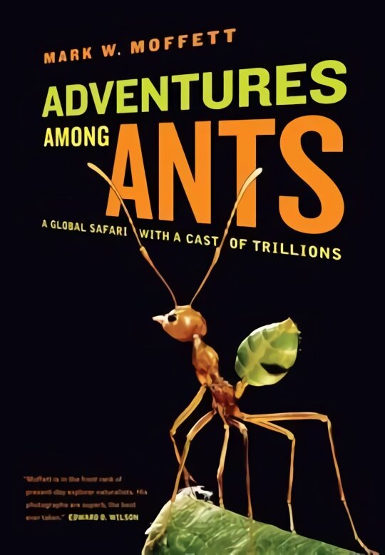 Adventures among Ants: A Global Safari with a Cast of Trillions kaina ir informacija | Knygos apie sveiką gyvenseną ir mitybą | pigu.lt