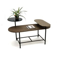Šoninis staliukas DKD Home Decor 116x76x64cm, juodas/rudas kaina ir informacija | Kavos staliukai | pigu.lt