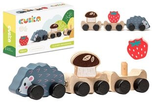 Medinis ežiukas - traukinukas Cubika kaina ir informacija | Lavinamieji žaislai | pigu.lt