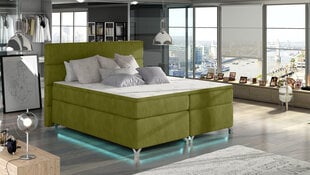 Кровать  Amadeo, 160х200 см, зеленый цвет цена и информация | Кровати | pigu.lt