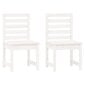2-jų dalių sodo kėdžių komplektas vidaXL, baltas kaina ir informacija | Lauko kėdės, foteliai, pufai | pigu.lt