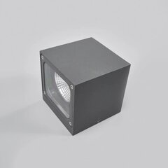 Hастенный светильник Lucande Merjem  цена и информация | Настенные светильники | pigu.lt
