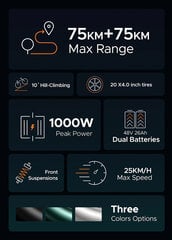 ENGWE M20, черный, 20", 1000 Вт, 13 Ач цена и информация | Электровелосипеды | pigu.lt