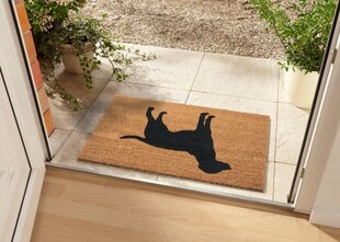 Hanse Home коврик для двери Mix Mats Cocos 45x75 см цена и информация | Придверные коврики | pigu.lt